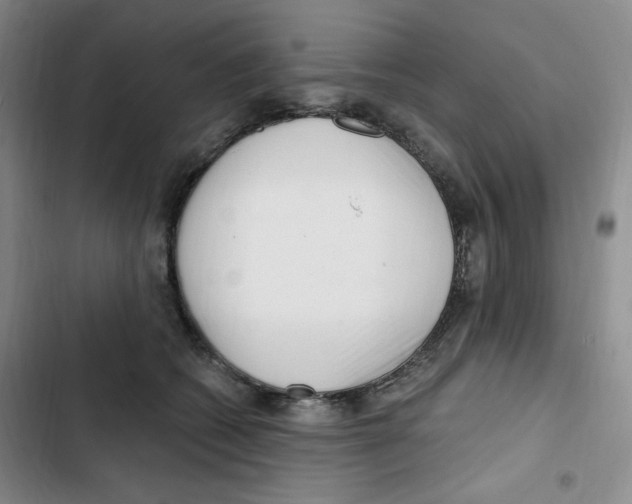 X0000102800562200809150931