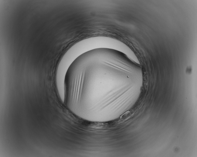 X0000102800563200809150931