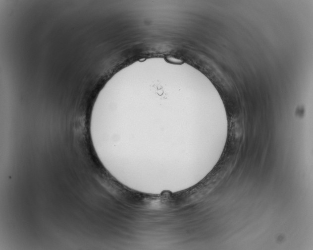 X0000102800564200809150931