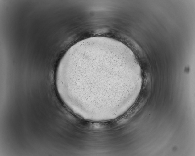 X0000102800565200809150931