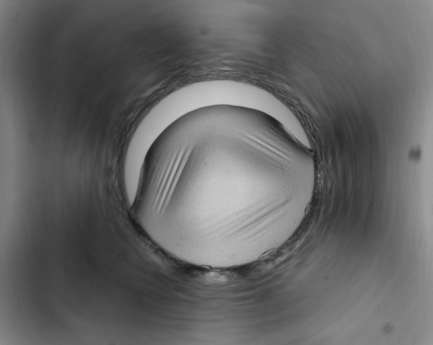 X0000102800566200809150931