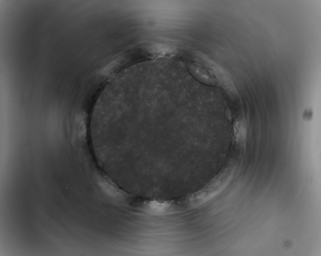 X0000102800570200809150931