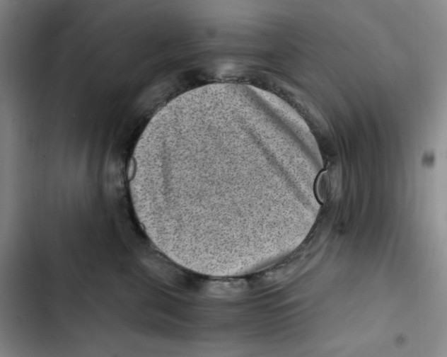 X0000102800571200809150931