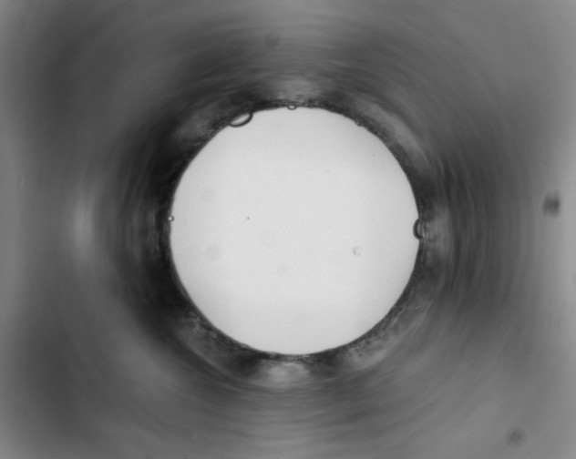 X0000102800572200809150931