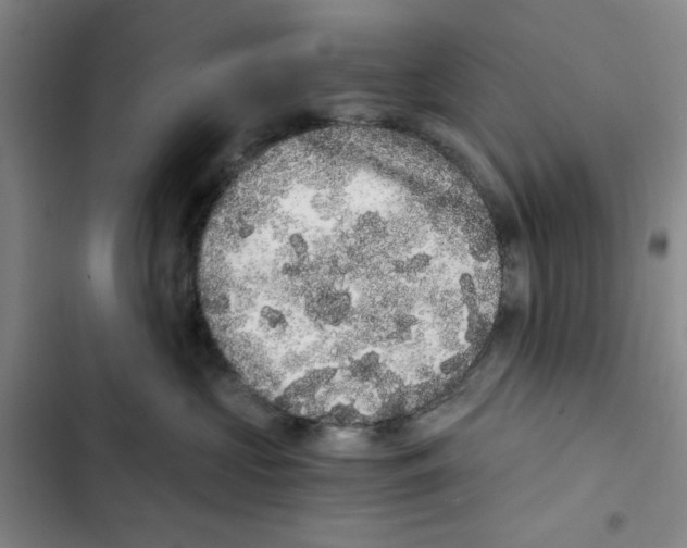 X0000102800573200809150931