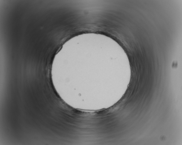 X0000102800576200809150932