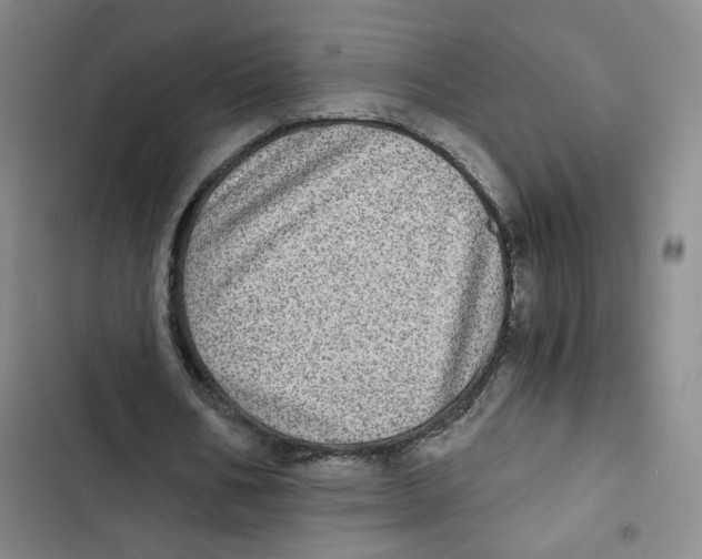 X0000102800578200809150931