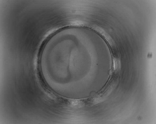 X0000102800579200809150931