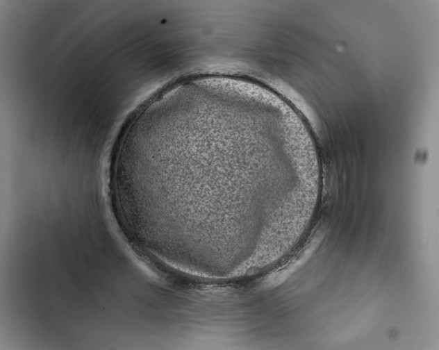 X0000102800581200809150931