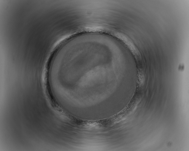 X0000102800583200809150931