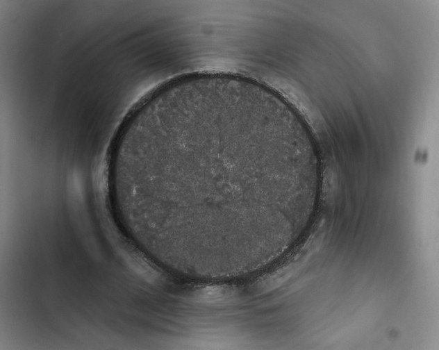 X0000102800584200809150931