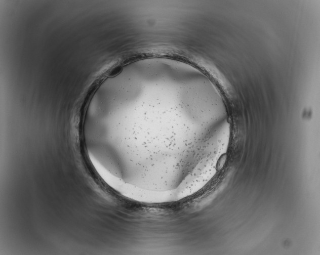 X0000102800585200809150931