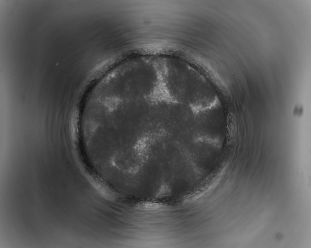 X0000102800590200809150931