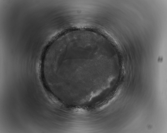 X0000102800592200809150931