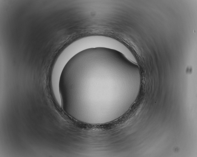 X0000102800593200809150930