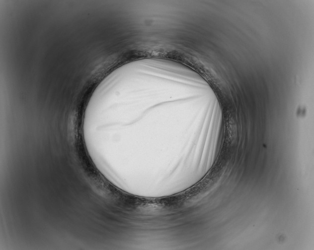 X0000102800594200809150930