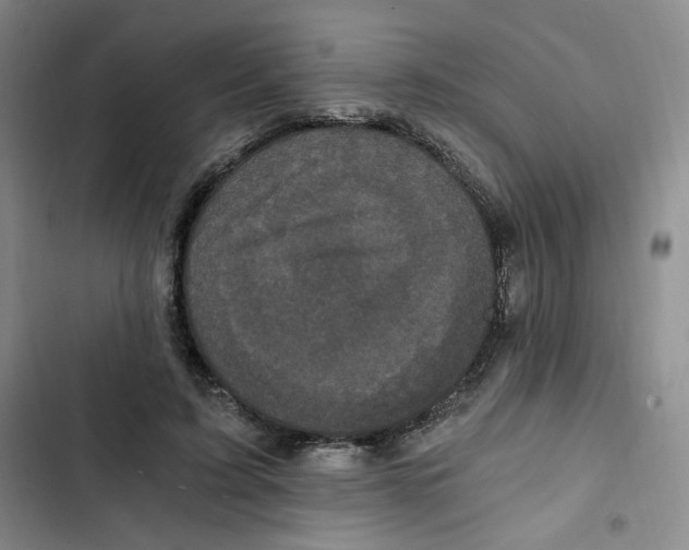 X0000102800595200809150930