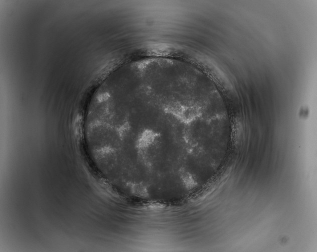 X0000102800598200809150930