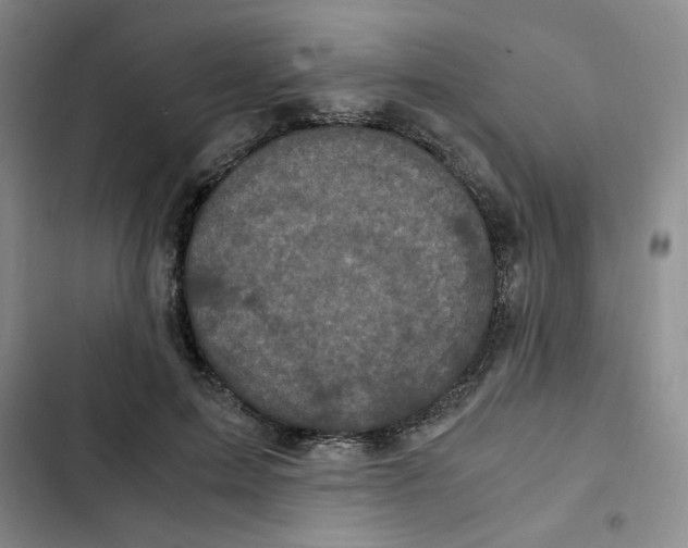 X0000102800599200809150930