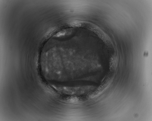 X0000102800600200809150930