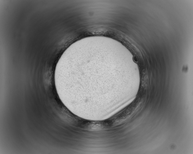 X0000102800604200809150930