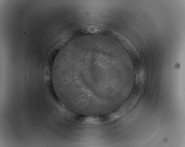 X0000102800606200809150930