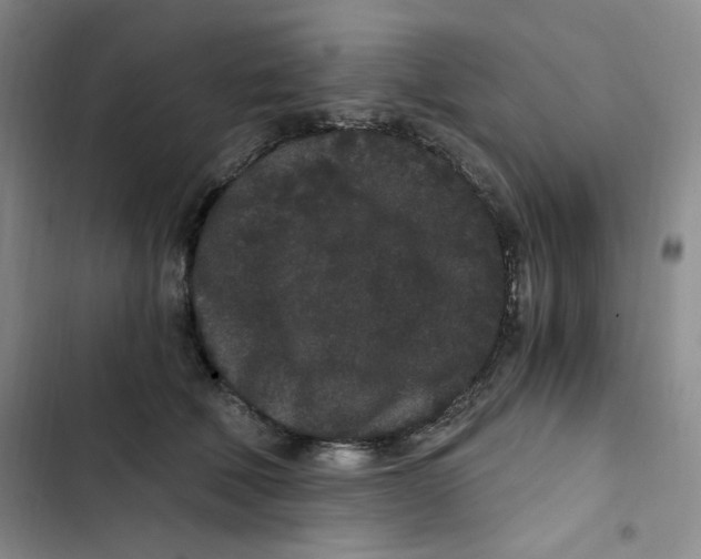 X0000102800610200809150930