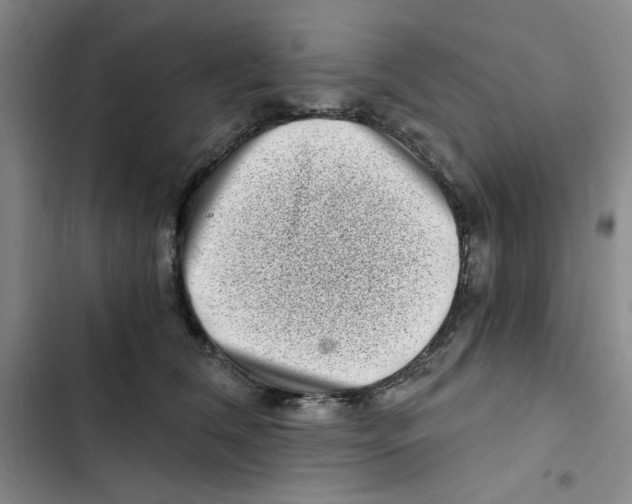 X0000102800612200809150930