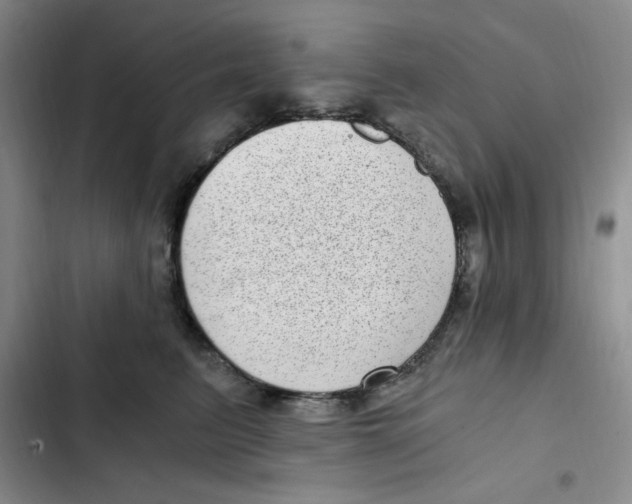 X0000102800615200809150930