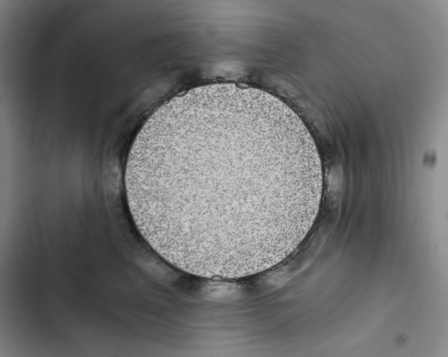 X0000102800617200809150930