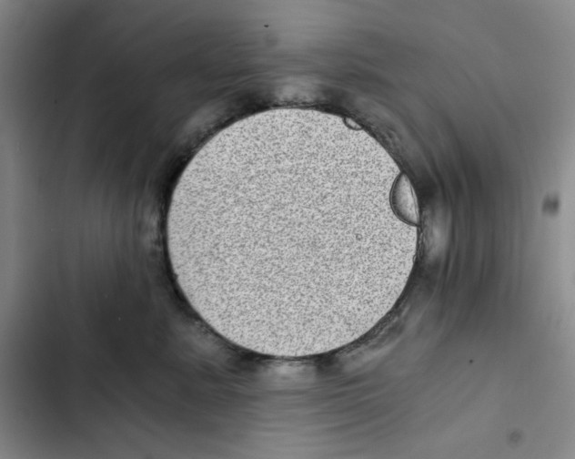 X0000102800619200809150930