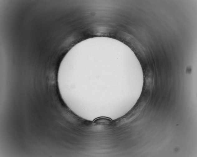 X0000102800620200809150930