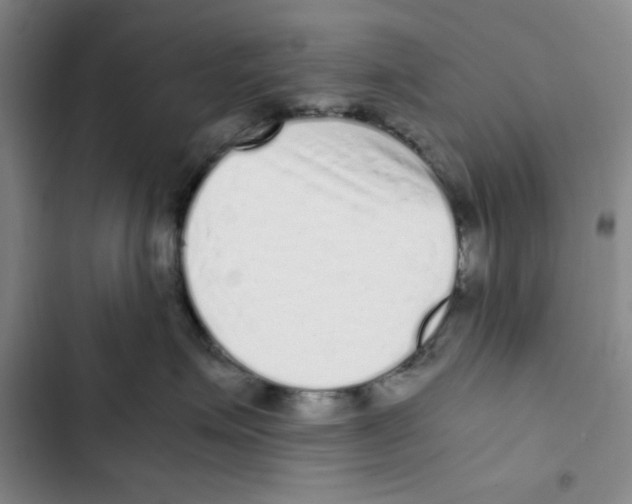 X0000102800623200809150930