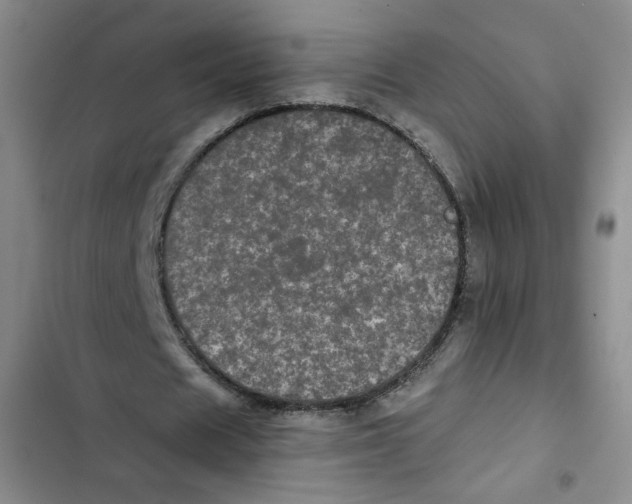 X0000102800625200809150929