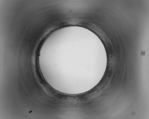 X0000102800626200809150929