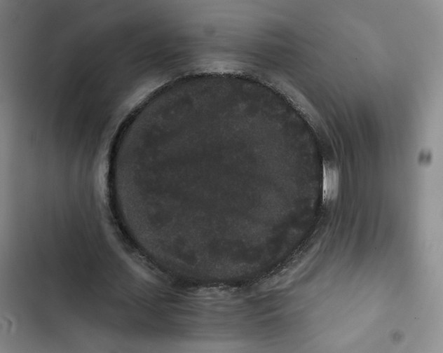 X0000102800627200809150929