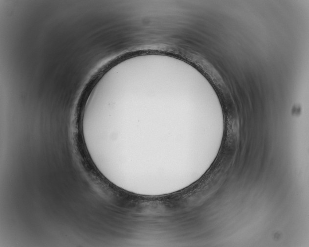 X0000102800628200809150929