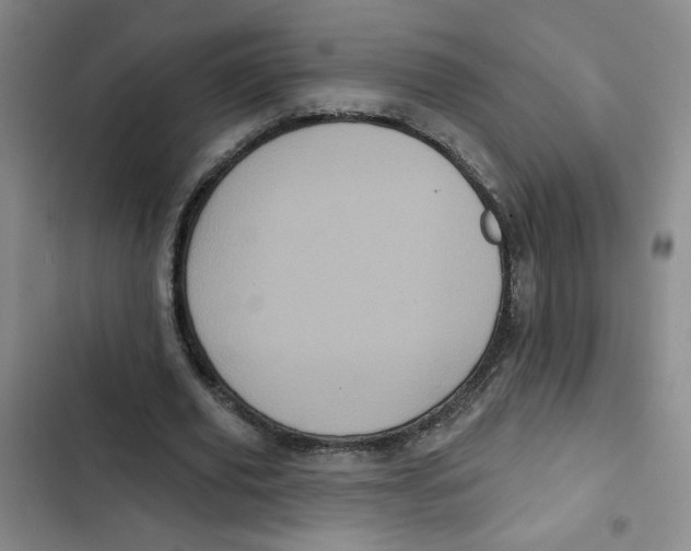 X0000102800629200809150929