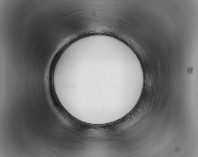 X0000102800630200809150929