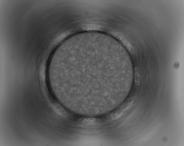 X0000102800631200809150929