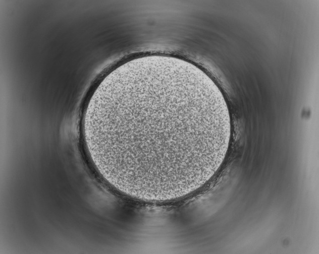 X0000102800632200809150929