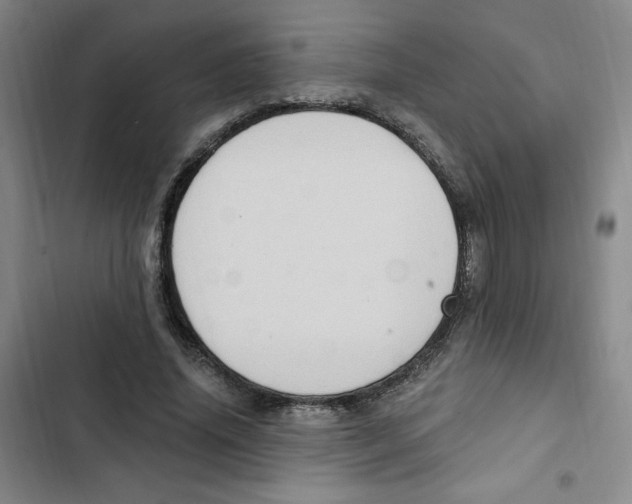 X0000102800636200809150929