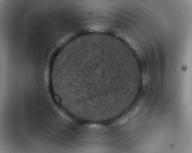 X0000102800637200809150929