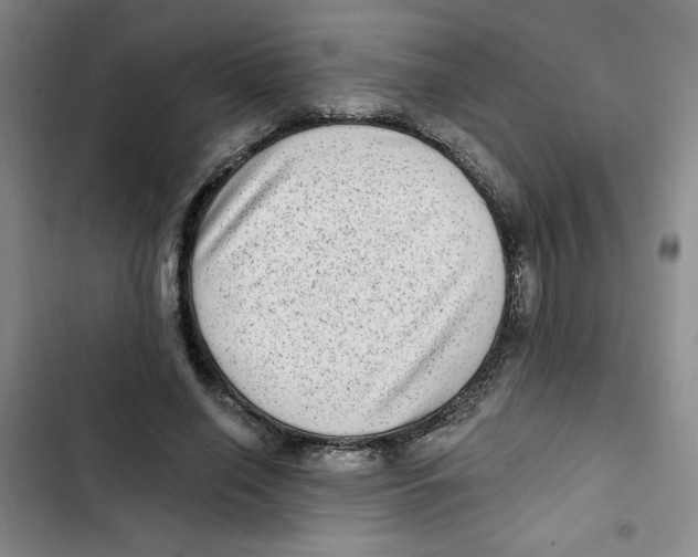 X0000102800638200809150929