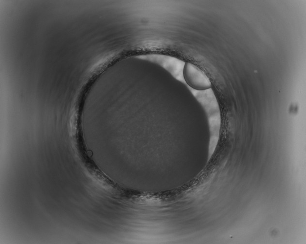 X0000102800640200809150929