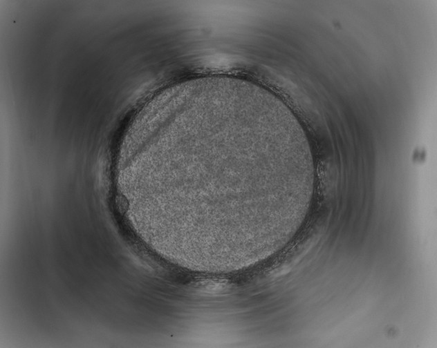 X0000102800642200809150929