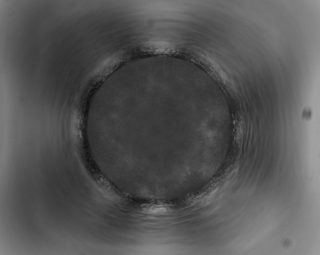 X0000102800643200809150929