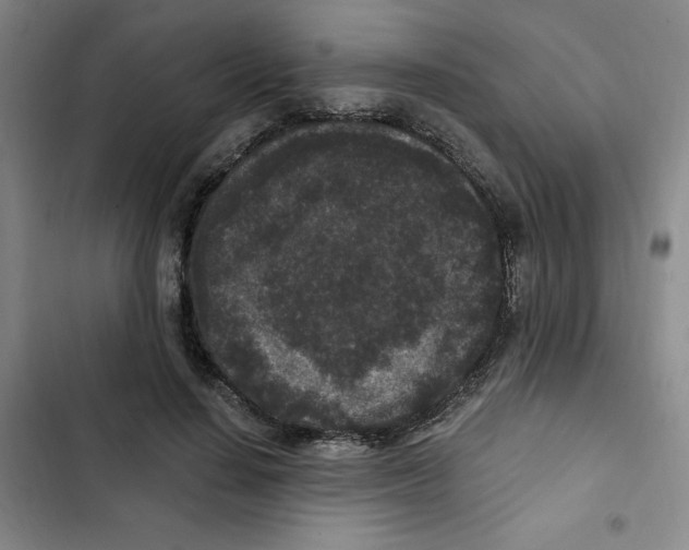 X0000102800644200809150929