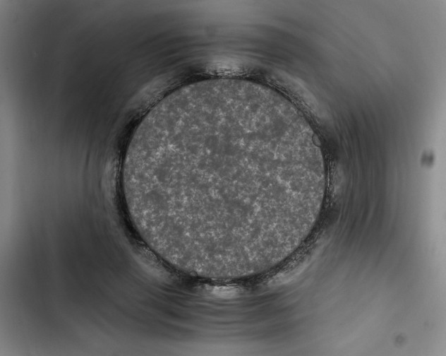 X0000102800645200809150930