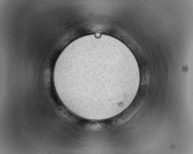 X0000102800646200809150930